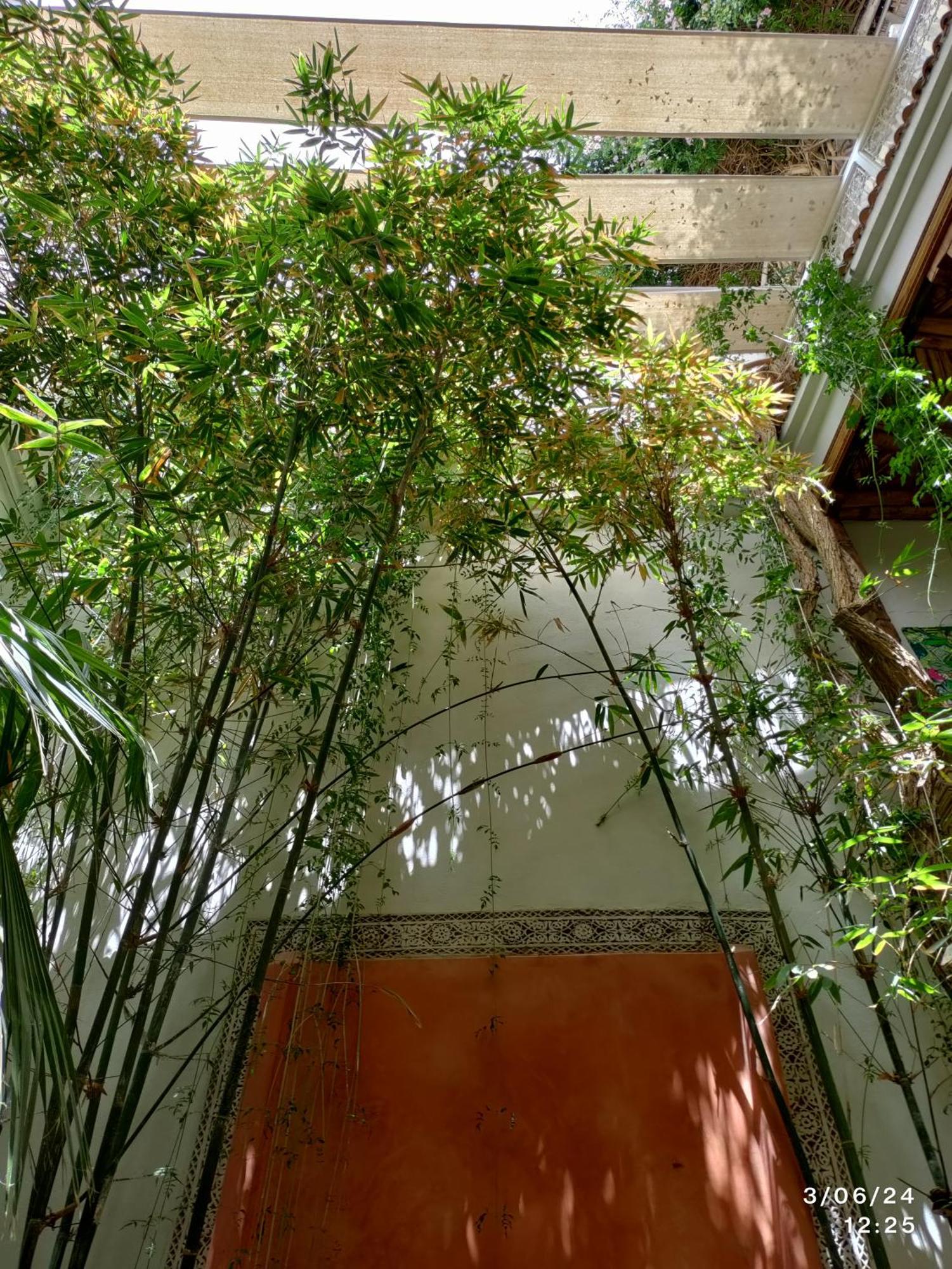 Apartament Made In Berbere Marrakesz Zewnętrze zdjęcie