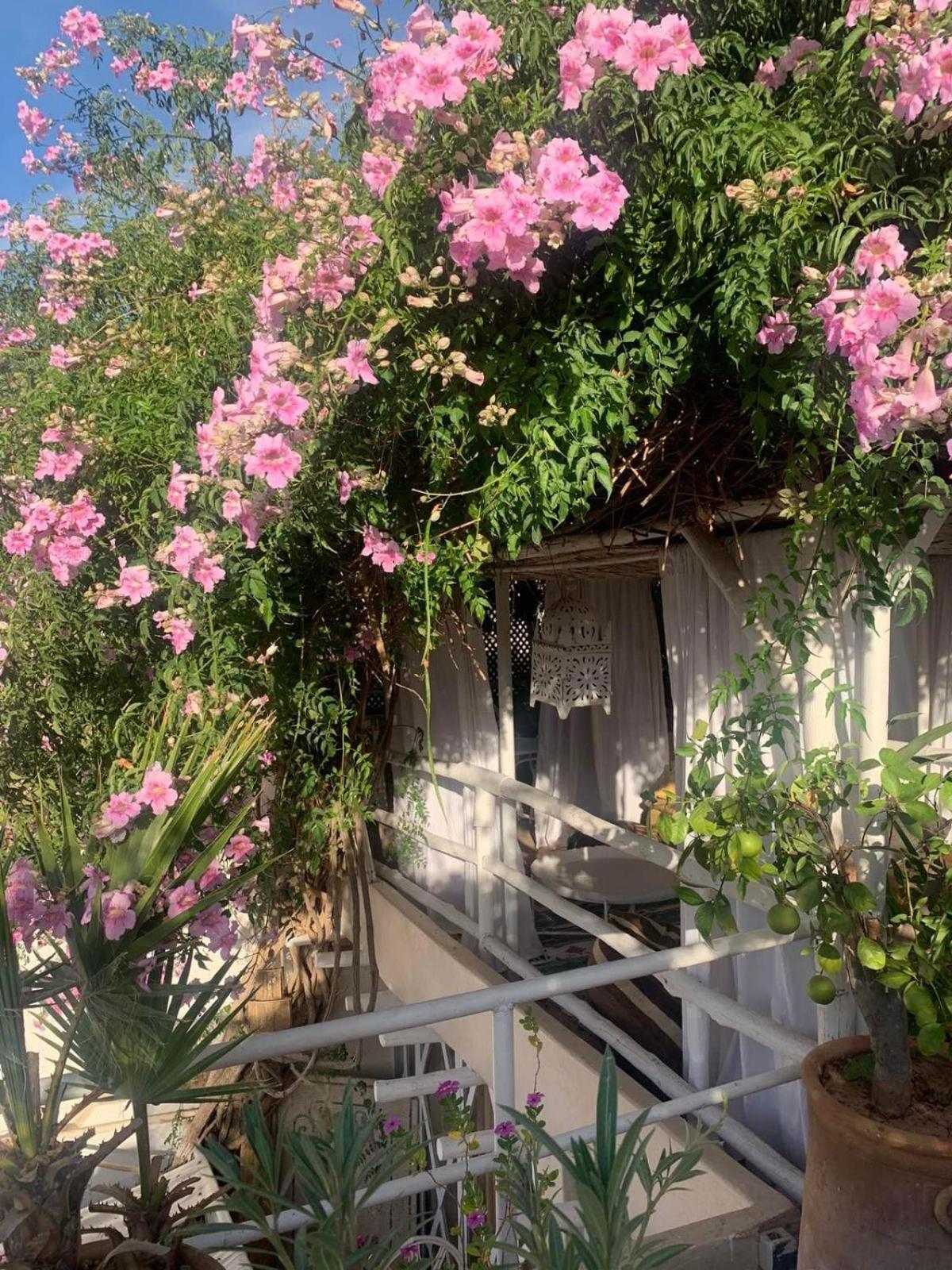 Apartament Made In Berbere Marrakesz Zewnętrze zdjęcie